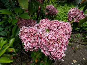 img_20170531_135130