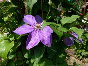 img_20170531_140103