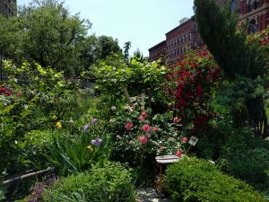 img_20170531_140457